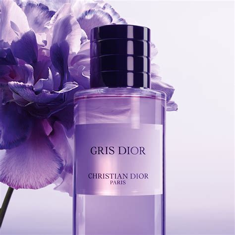 dior lost cherry|gris by christian dior.